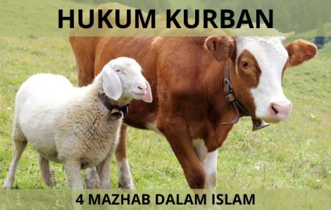 Hukum Kurban Dalam Islam dari Empat Mahzab Berbeda