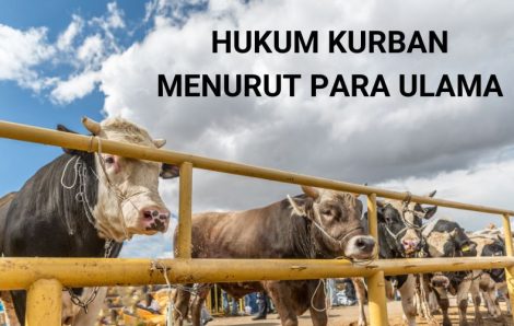 Hukum Kurban Menurut Para Ulama