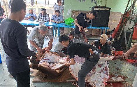 Masjid Cut Meutia Sembelih 13 Ekor Sapi dan 12 Ekor Kambing