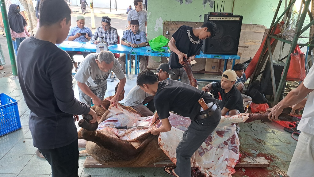 Masjid Cut Meutia Sembelih 13 Ekor Sapi dan 12 Ekor Kambing