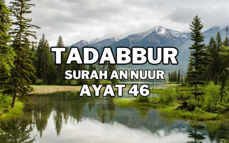 Tadabur Surat An-Nuur Ayat 46