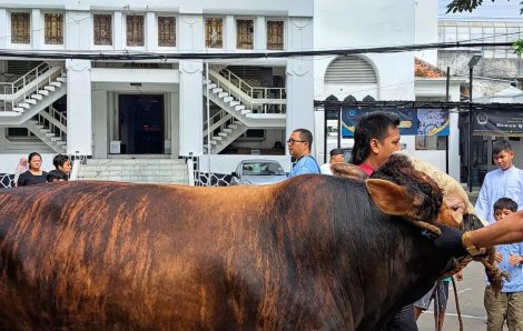 Idul Adha Masjid Cut Meutia Sembelih Kurban 13 Sapi dan 7 Kambing