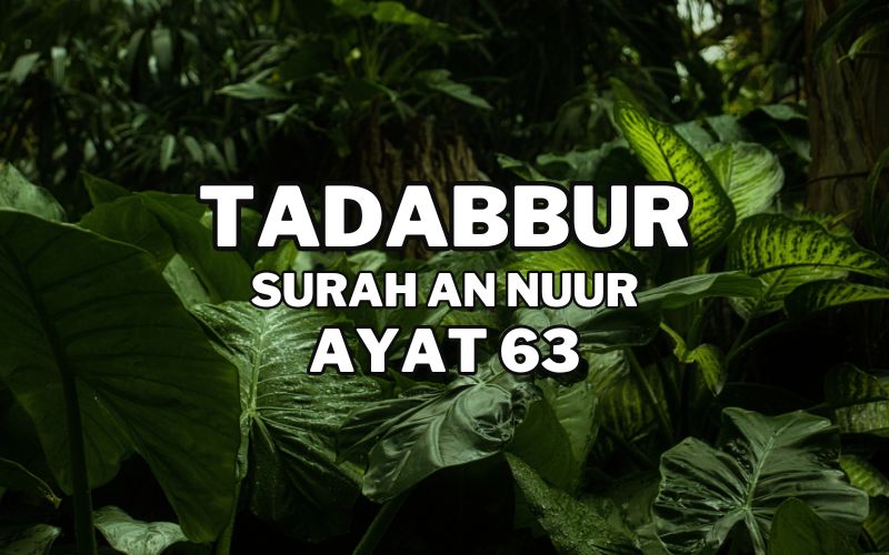 Tadabur Surat An-Nuur Ayat 63